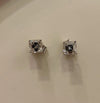Princess Cut Solitaire Earrings
