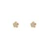 Flower Shape Gold Earrings